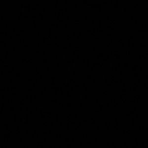 Meet your Posher, Aya